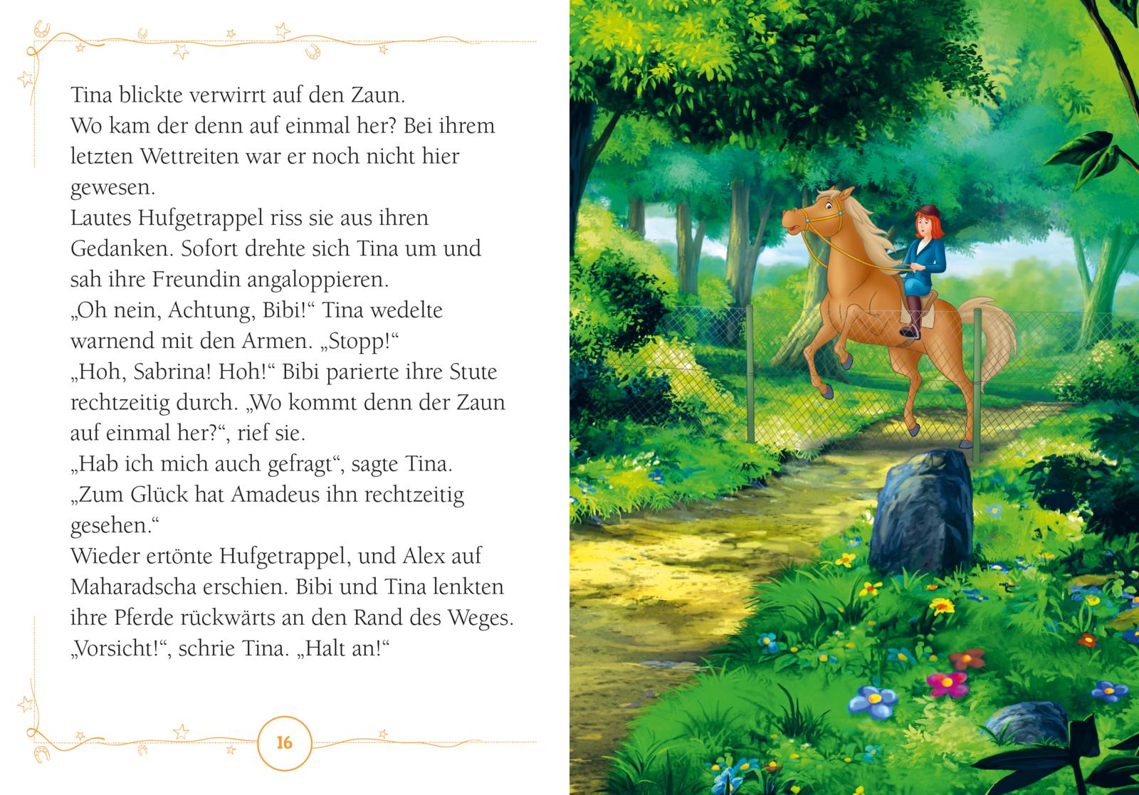 Bibi & Tina: Club der geheimen Reiter