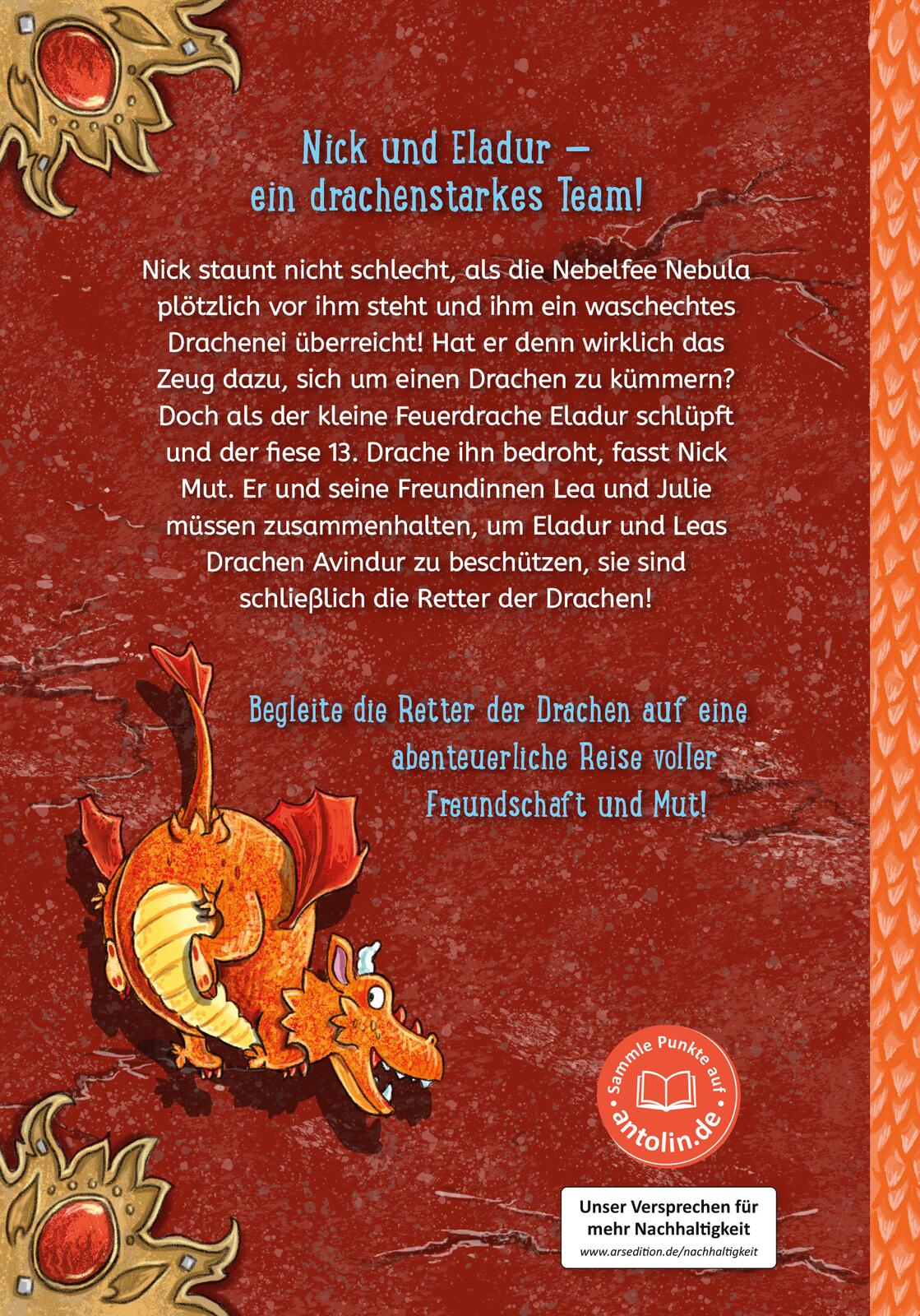 Retter der Drachen – Erwecke das Feuer! (Retter der Drachen 2)