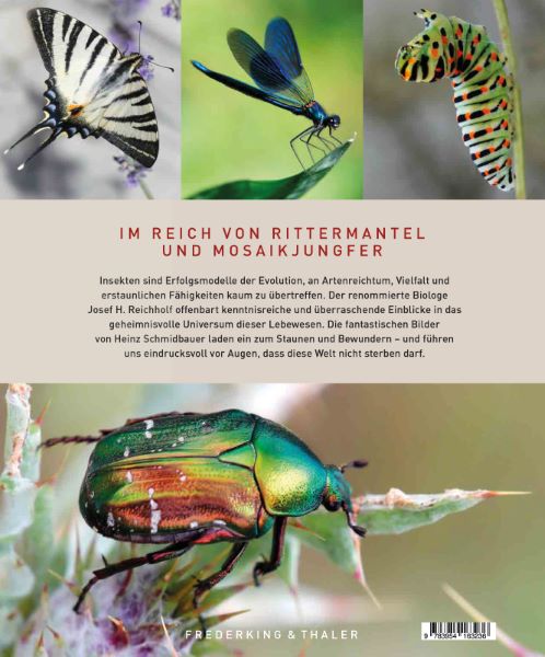Unsere einzigartige Insektenwelt