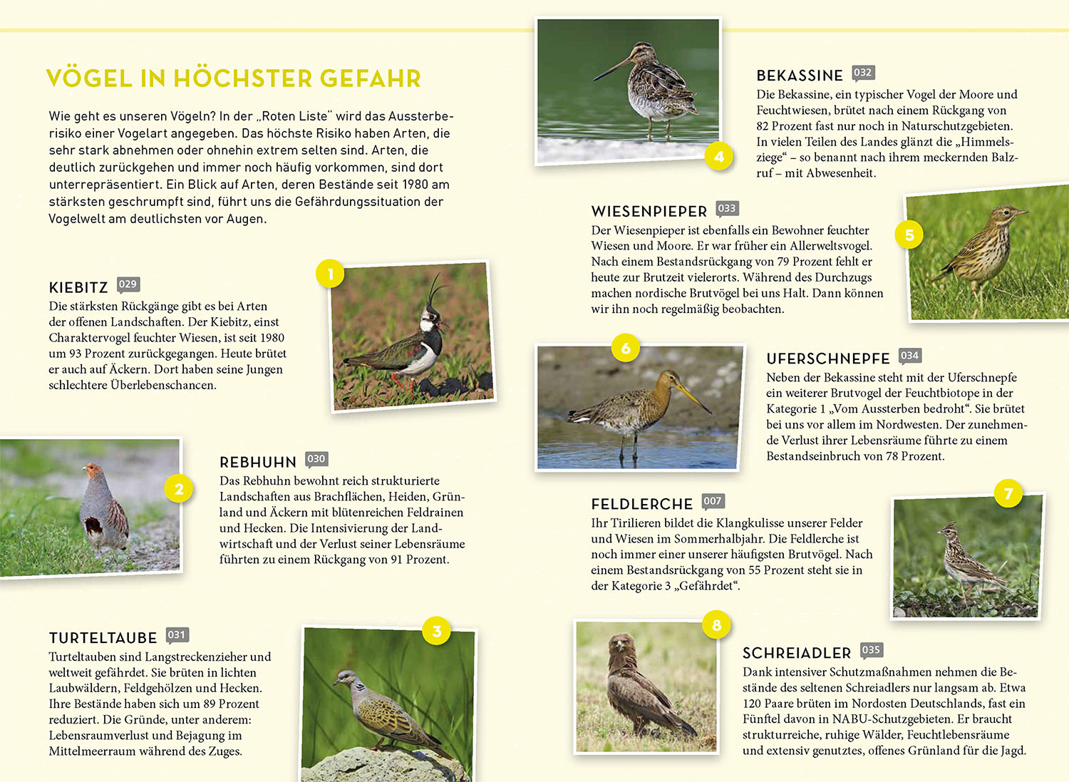 Lieblingsvögel