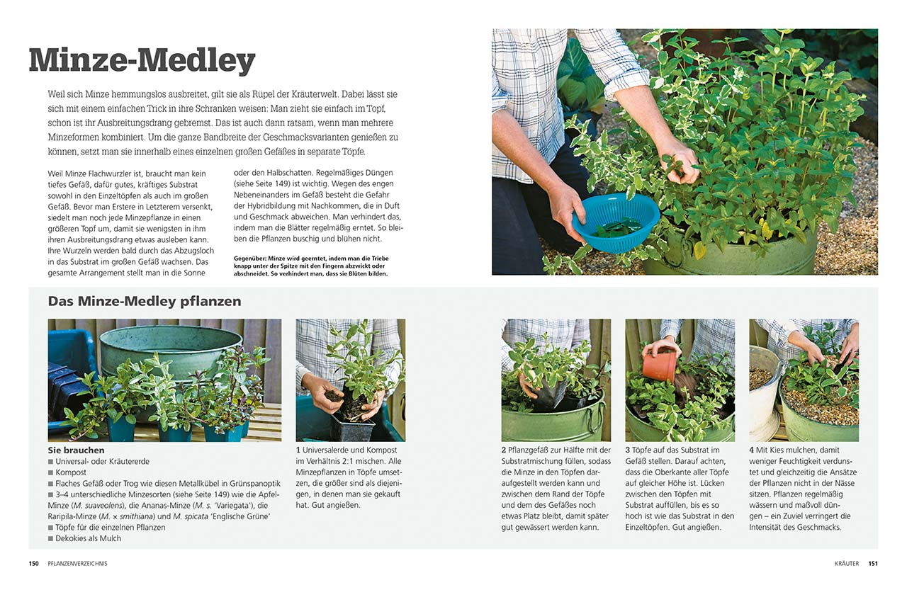 Frische Ernte ohne Garten