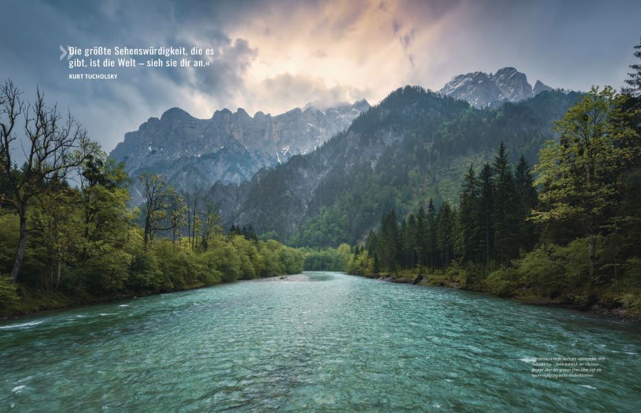 In 225 Reisen durch Europas Wälder