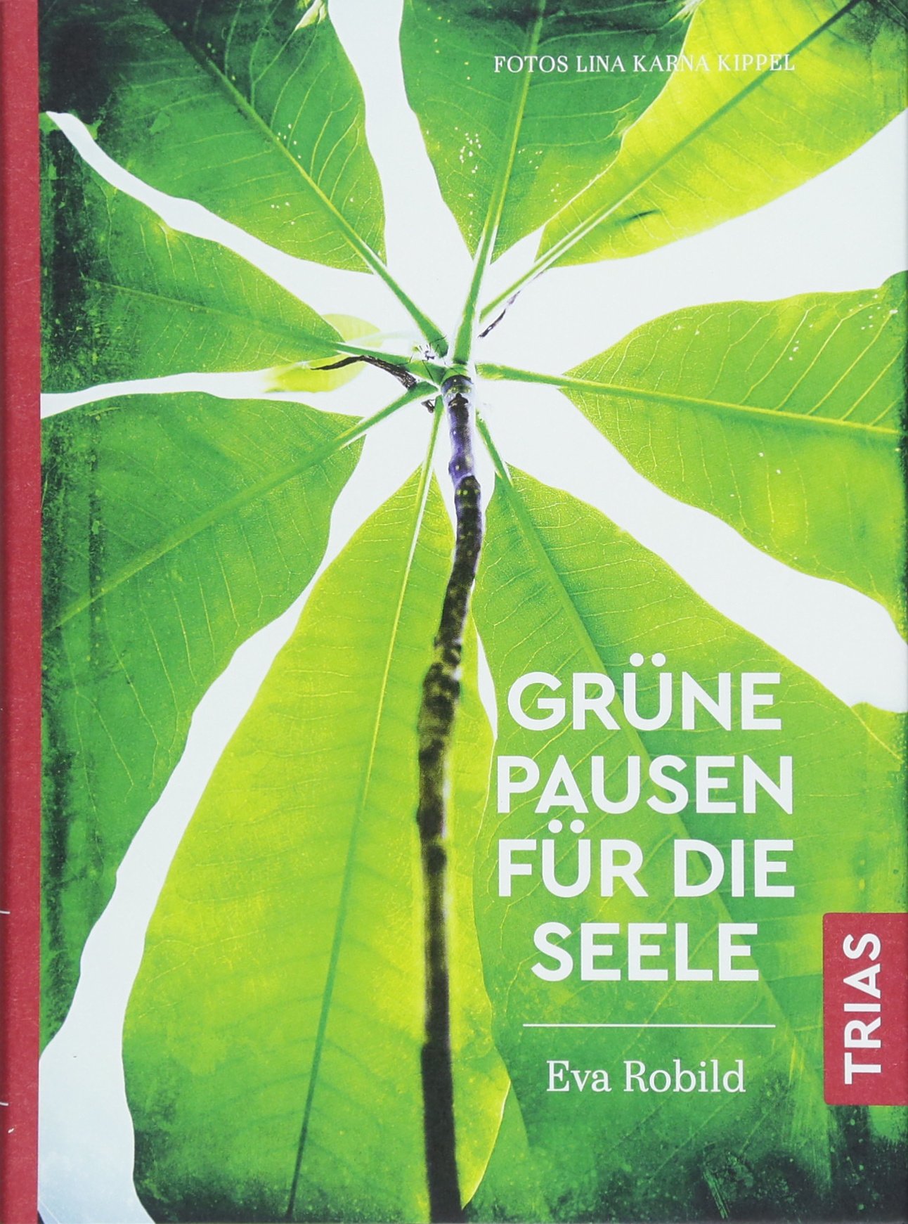 Grüne Pausen für die Seele