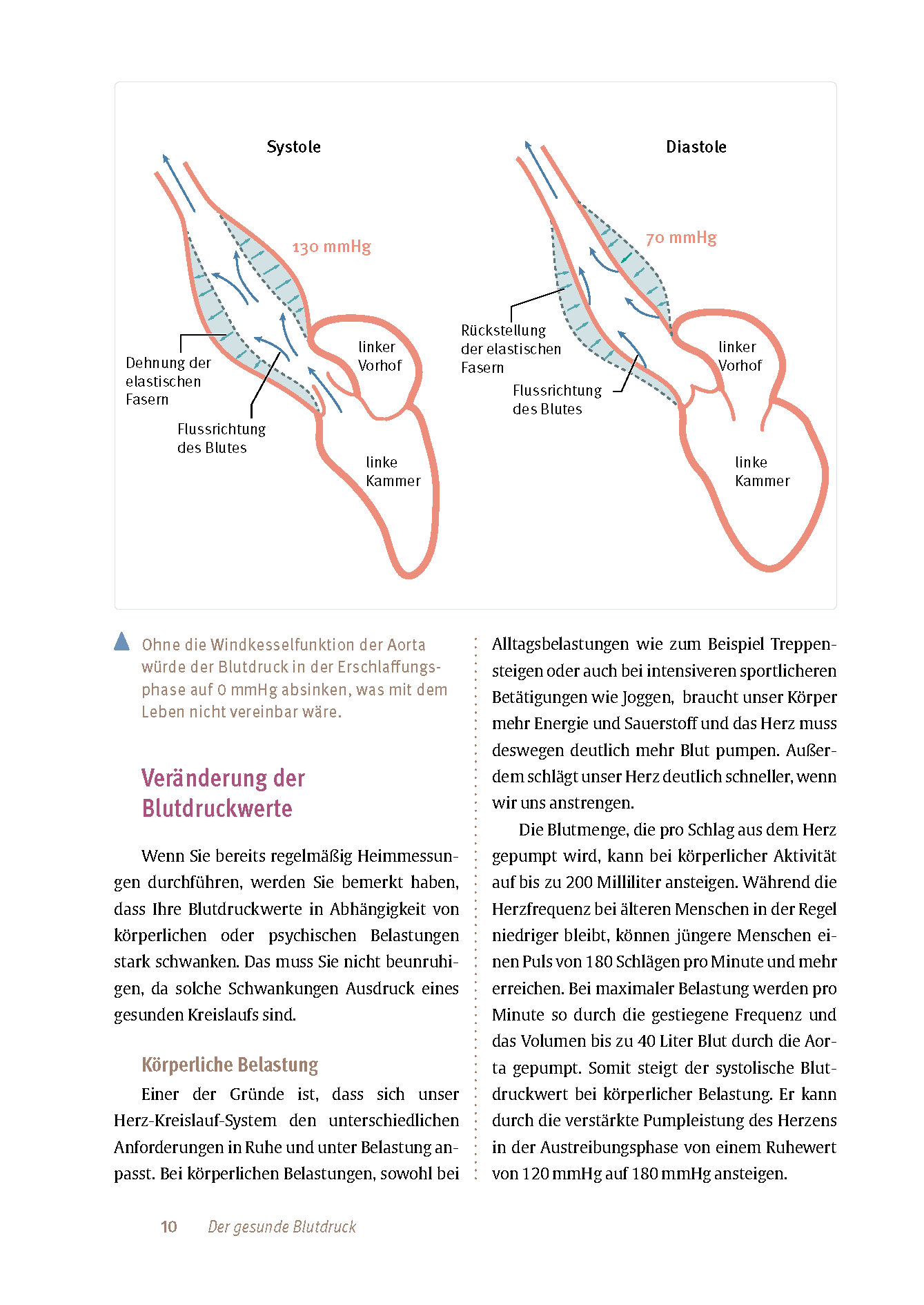 Expertenwissen: Bluthochdruck