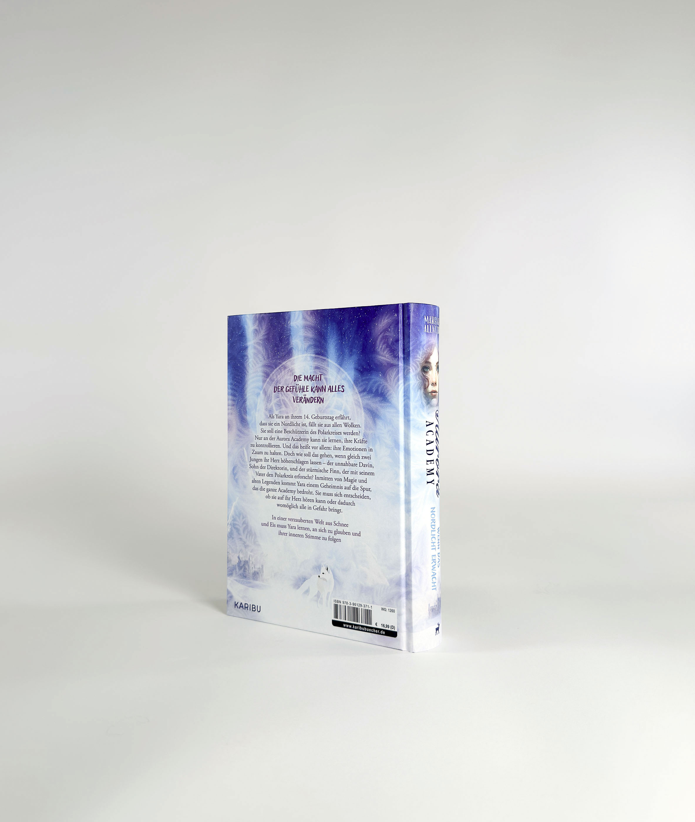 Aurora Academy (Band 1) – Wenn das Nordlicht erwacht