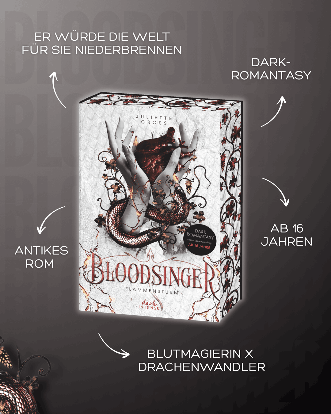 Flammensturm (Band 2) - Bloodsinger