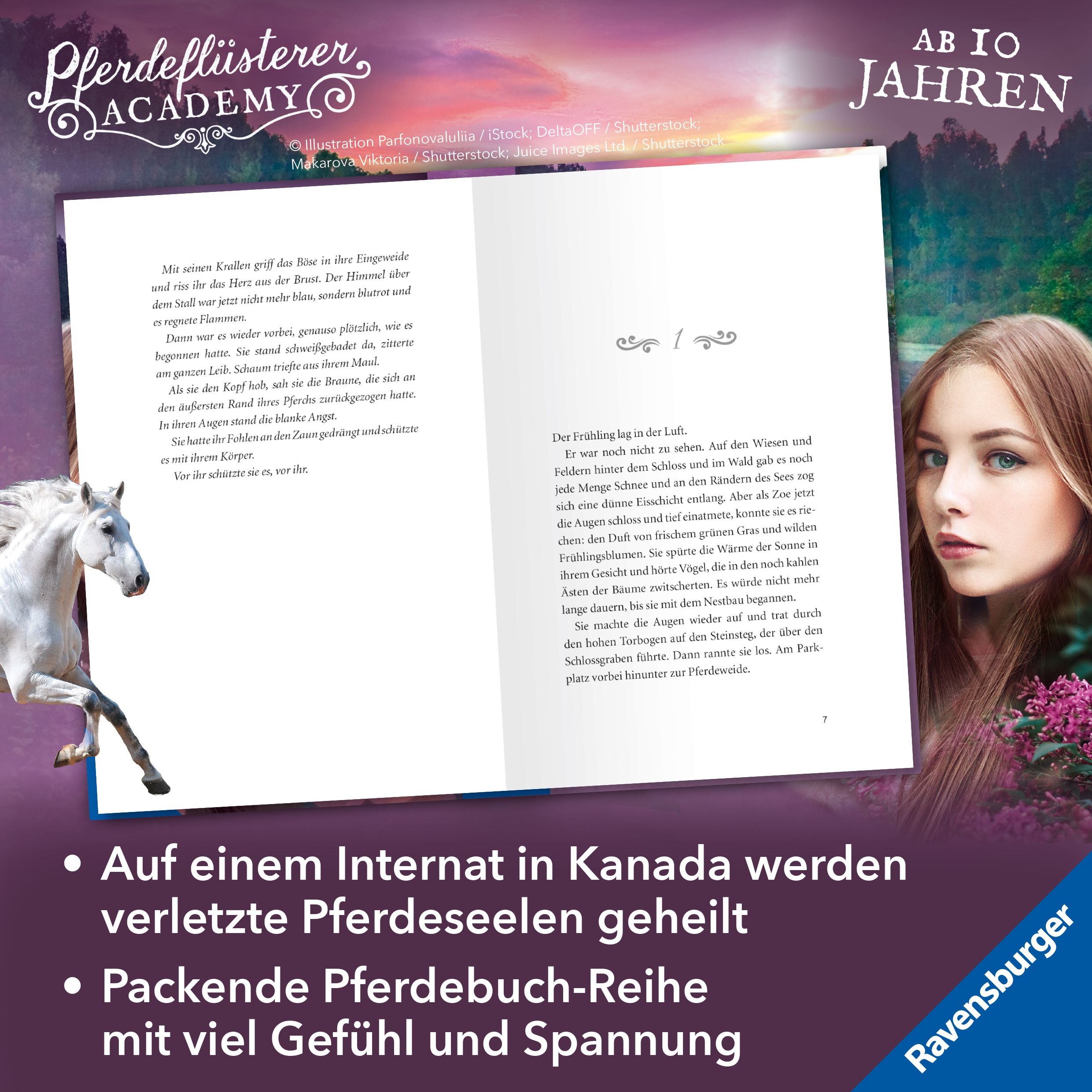 Pferdeflüsterer-Academy, Band 3 - Eine gefährliche Schönheit