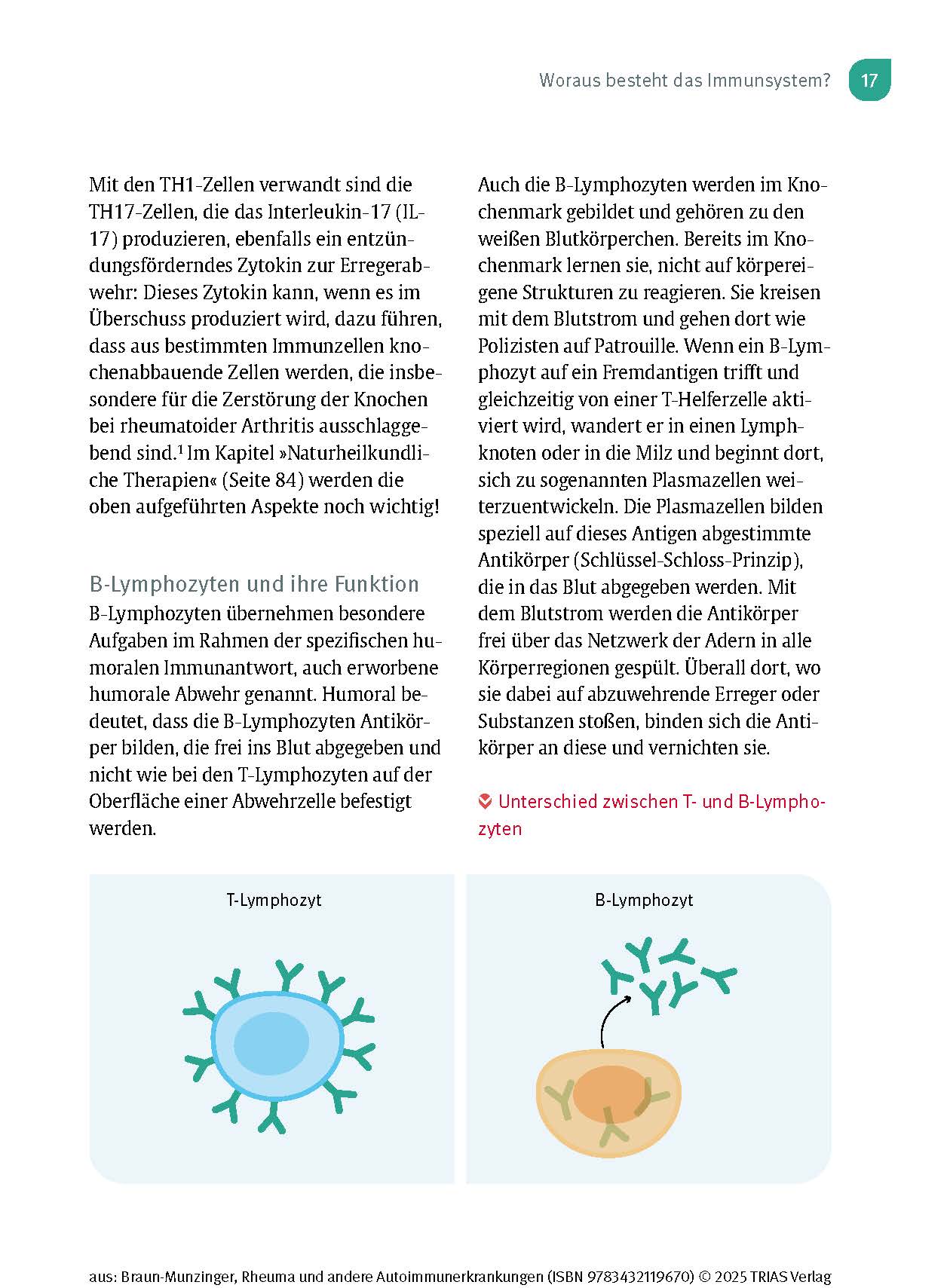 Naturheilpraxis: Rheuma und andere Autoimmunerkrankungen