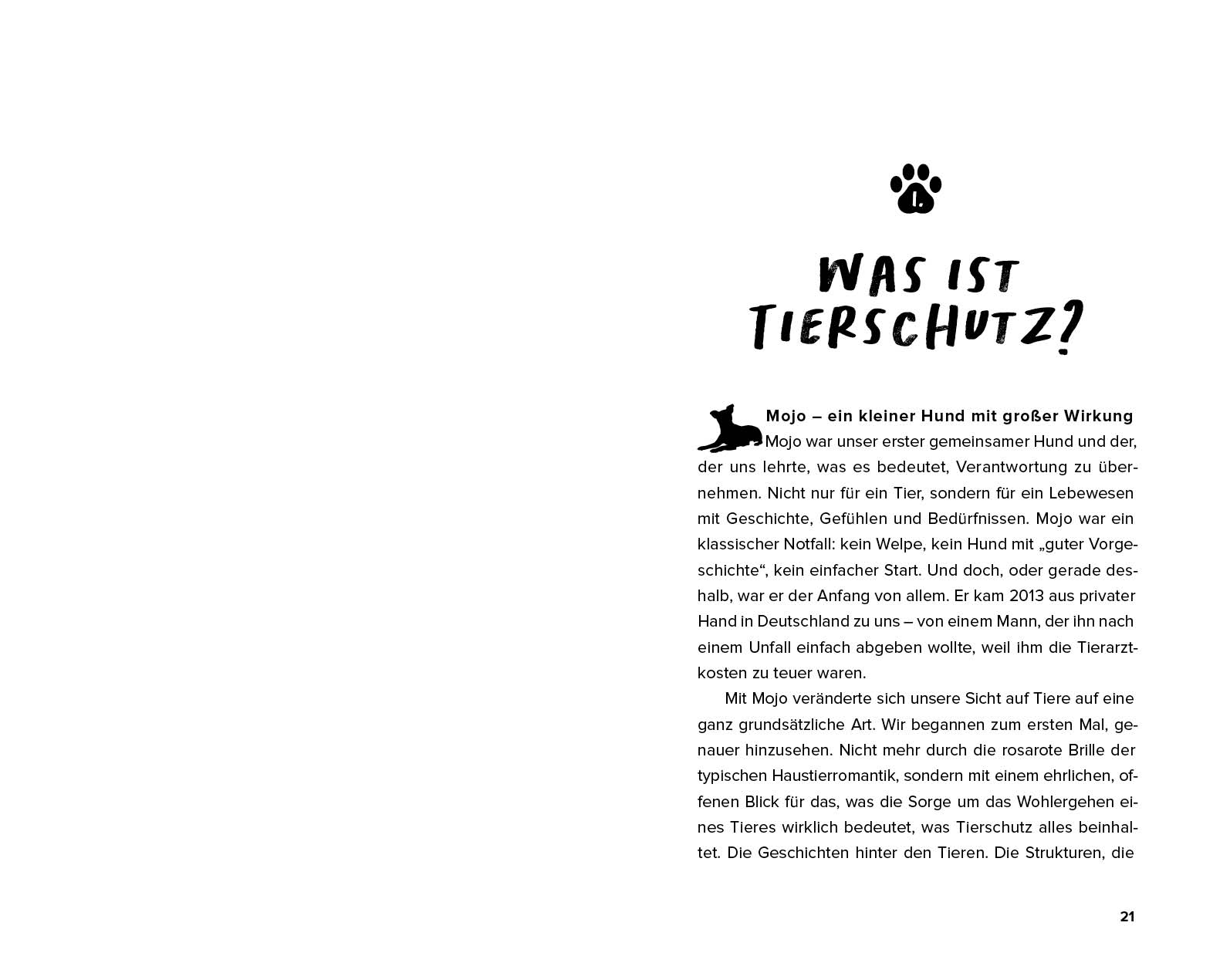 Streuner - von der Straße direkt ins Herz