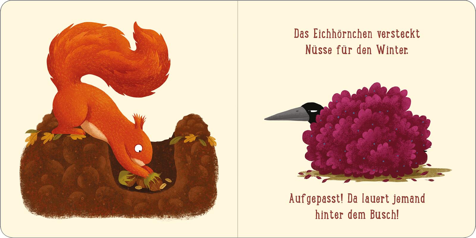 Ein Tag im Wald: Kleines Eichhörnchen