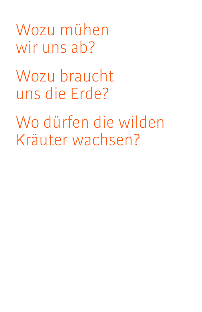 Das Franziskus-Prinzip