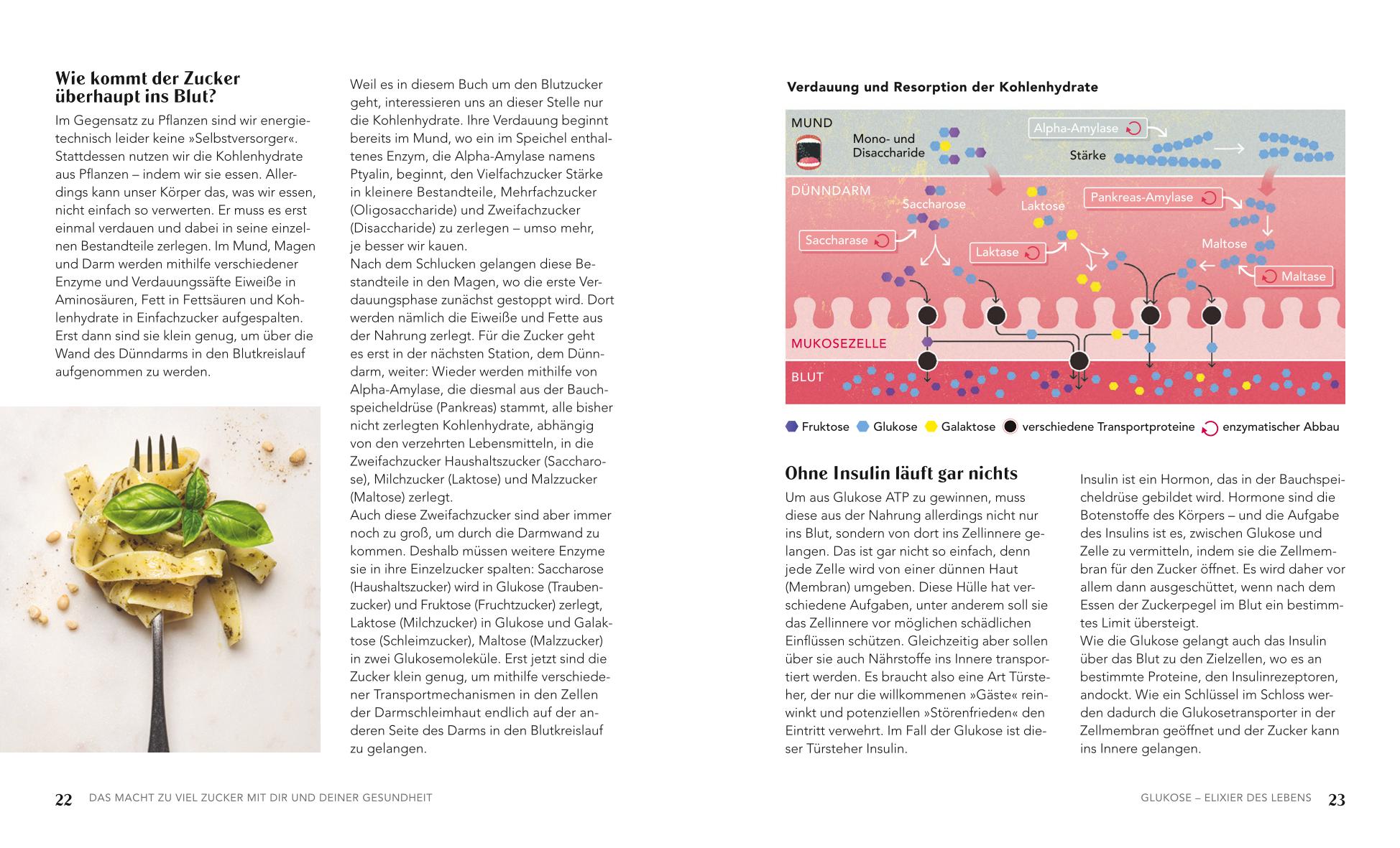 Glukose - Blutzucker runter, Gesundheit rauf