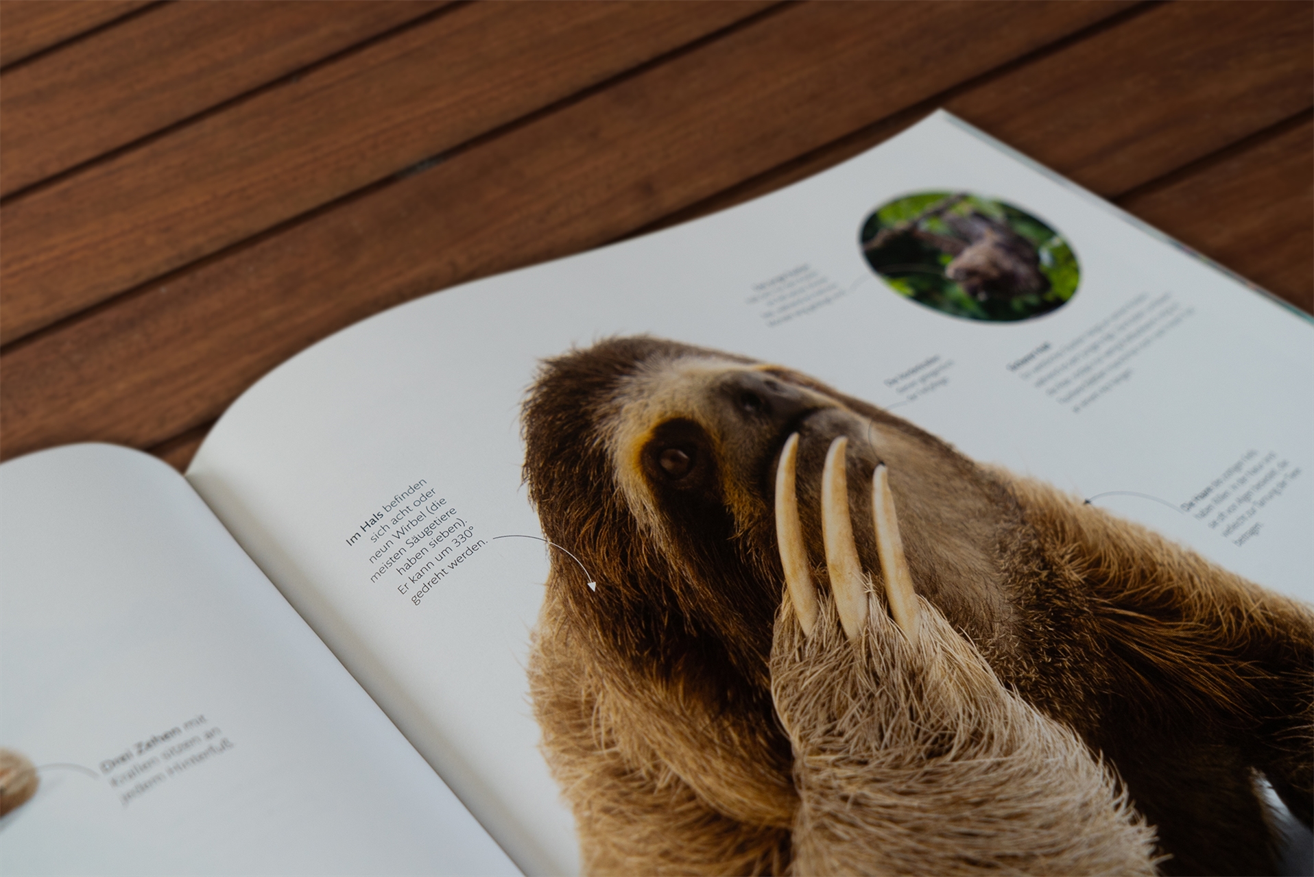 Fauna – Wunderwelt der Tiere