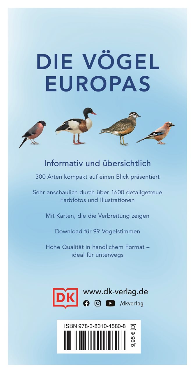 Vögel