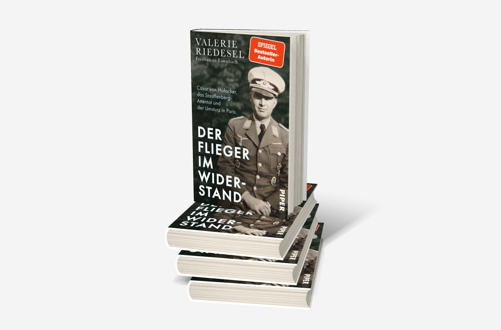 Der Flieger im Widerstand