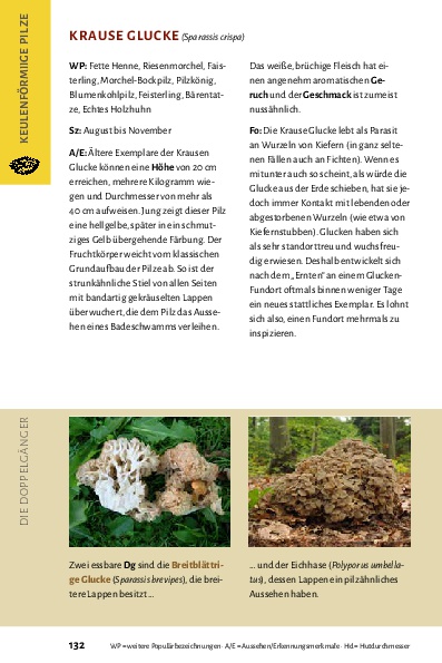 Pilze bestimmen - Der kleine Pilzführer für Einsteiger und Fortgeschrittene