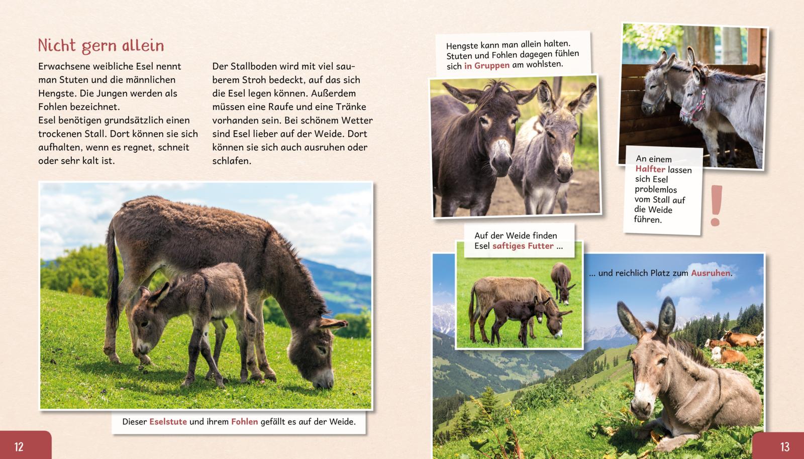 Meine große Tierbibliothek: Der Esel