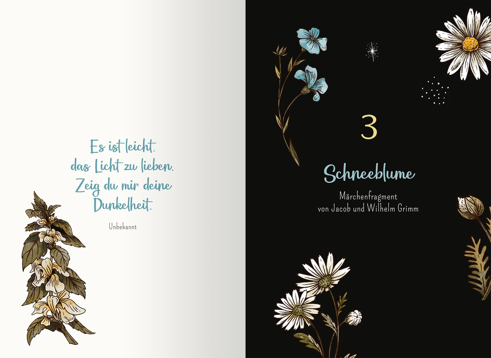 Von Hexen und Raunächten. 24 magische Geschichten
