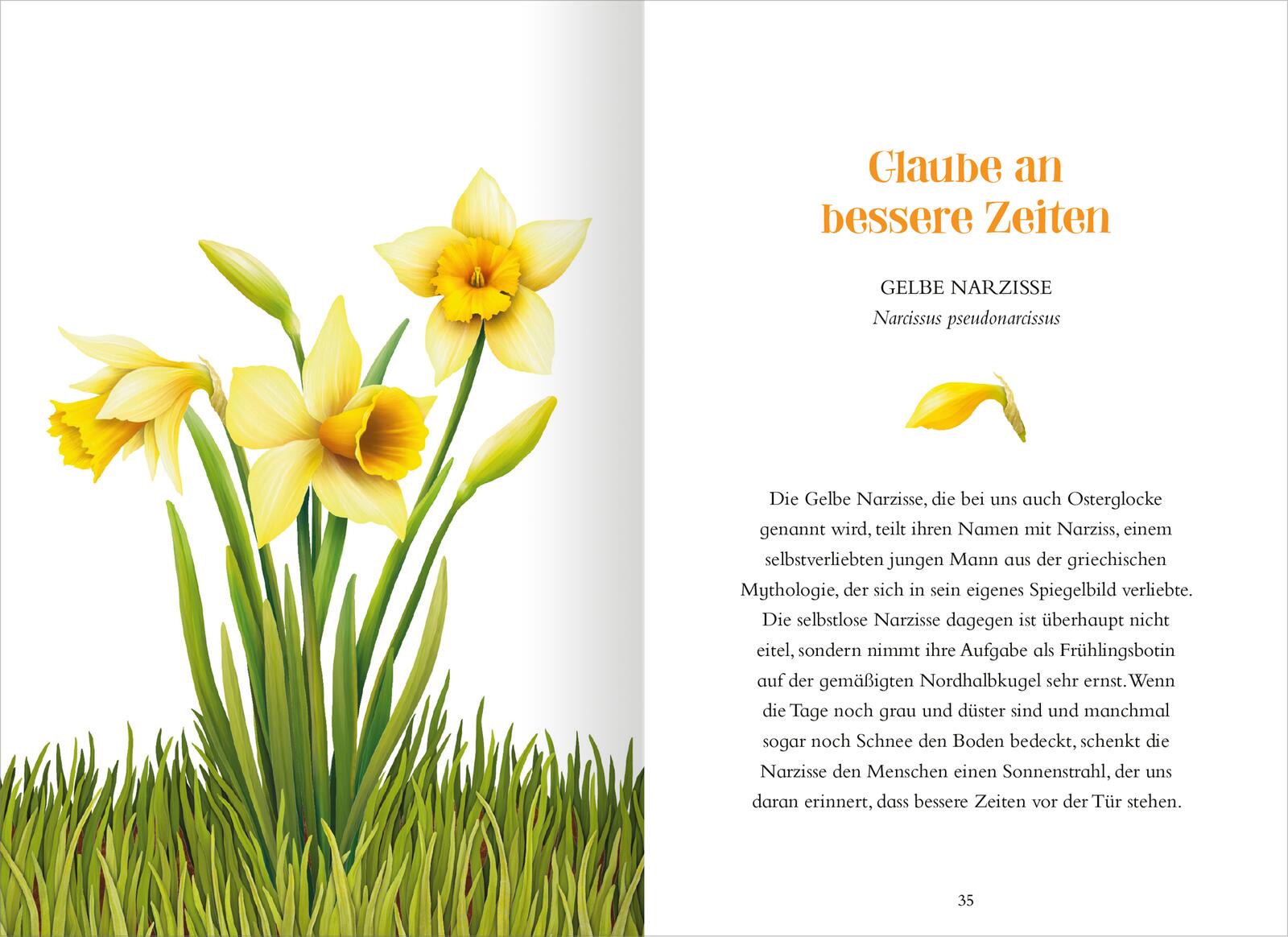 Das Geheimnis der Blumen