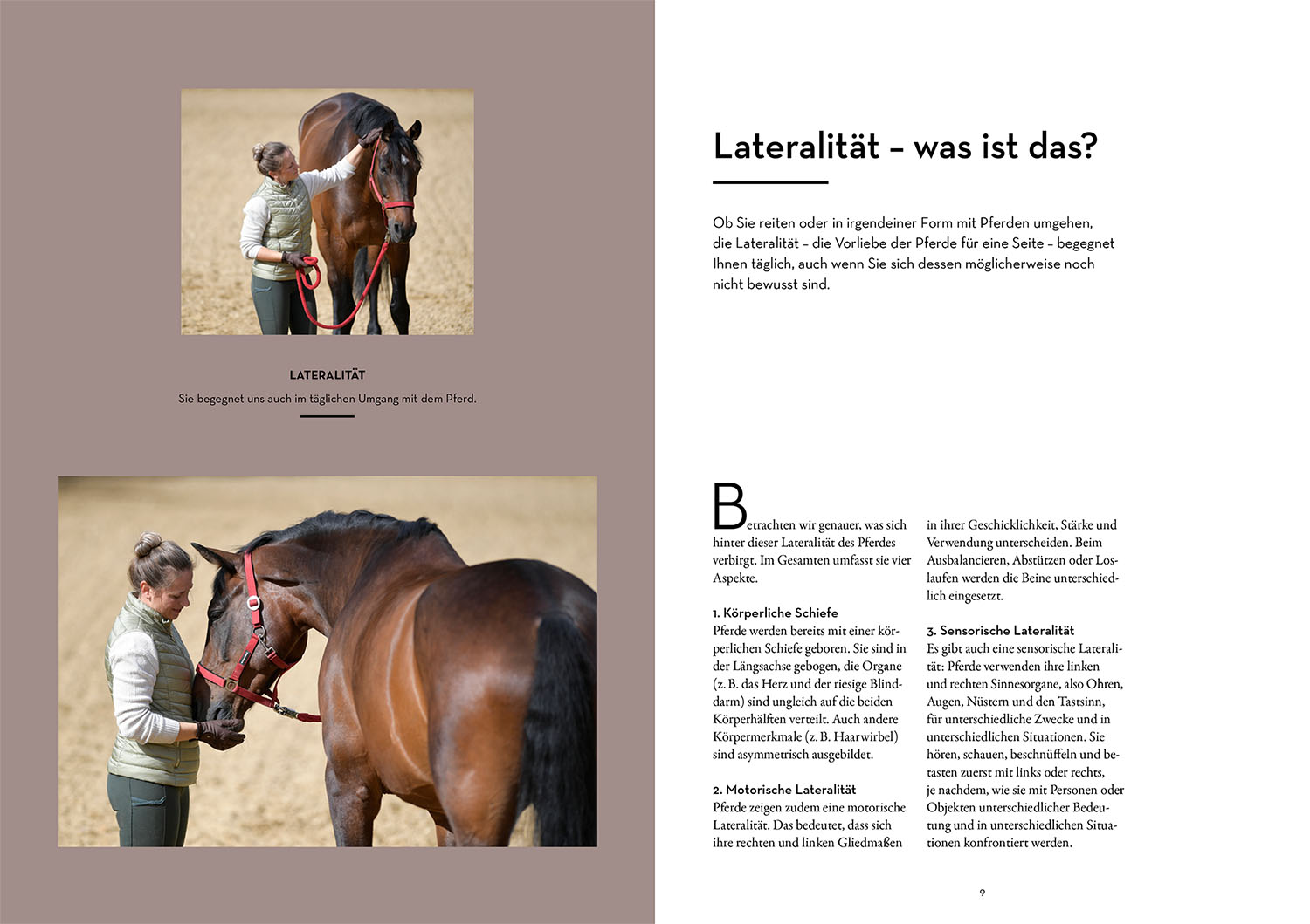 Lateralität bei Pferden