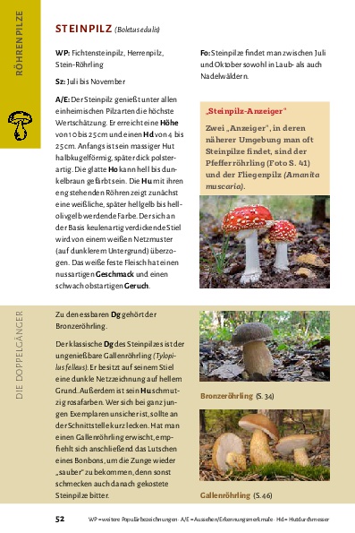 Pilze bestimmen - Der kleine Pilzführer für Einsteiger und Fortgeschrittene