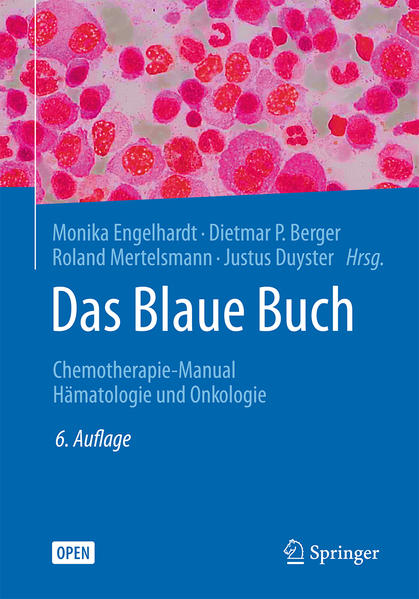 Das Blaue Buch