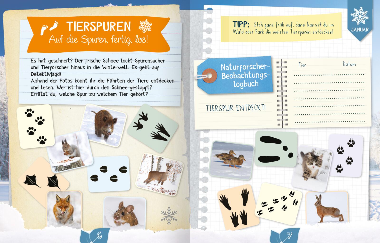 Naturforscher durch das Jahr
