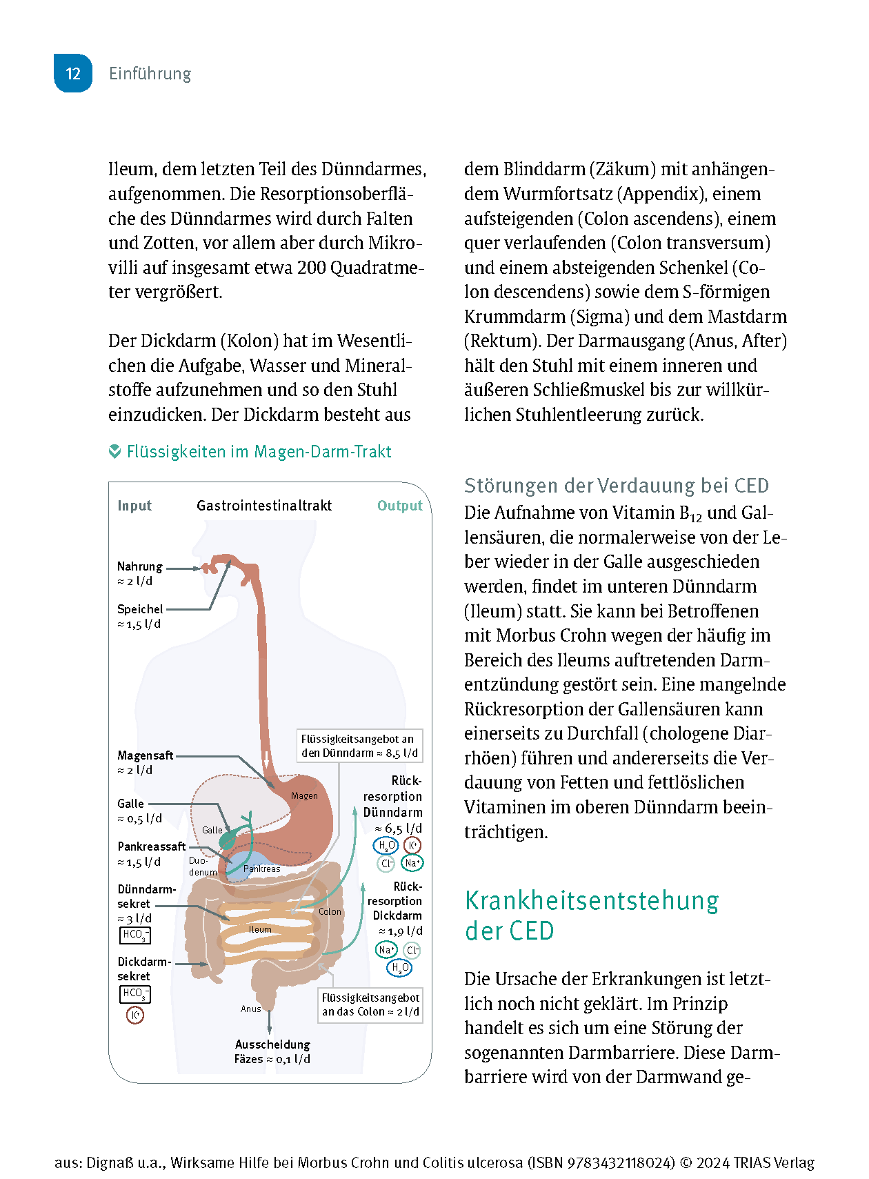 Wirksame Hilfe bei Morbus Crohn und Colitis ulcerosa