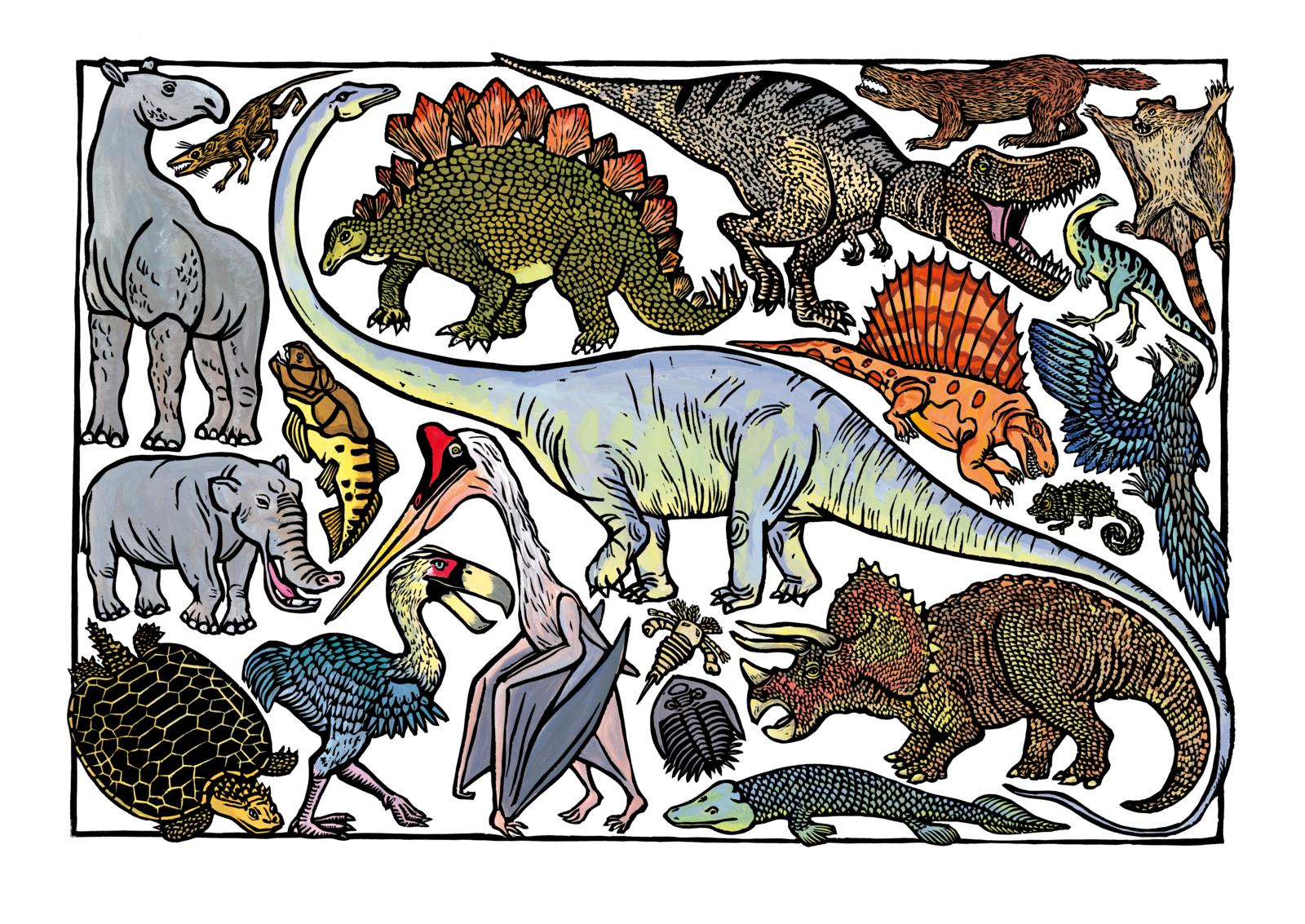 Zoo-ologie