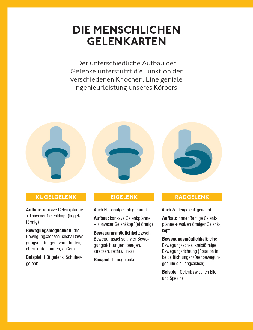 Fitte und starke Gelenke