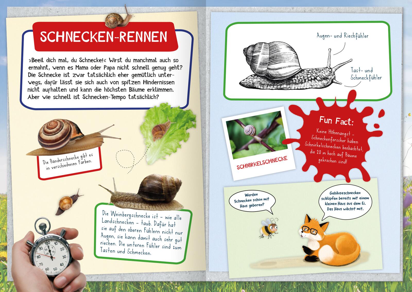 Naturforscher-Kids – Mein erstes Naturforscher-Buch