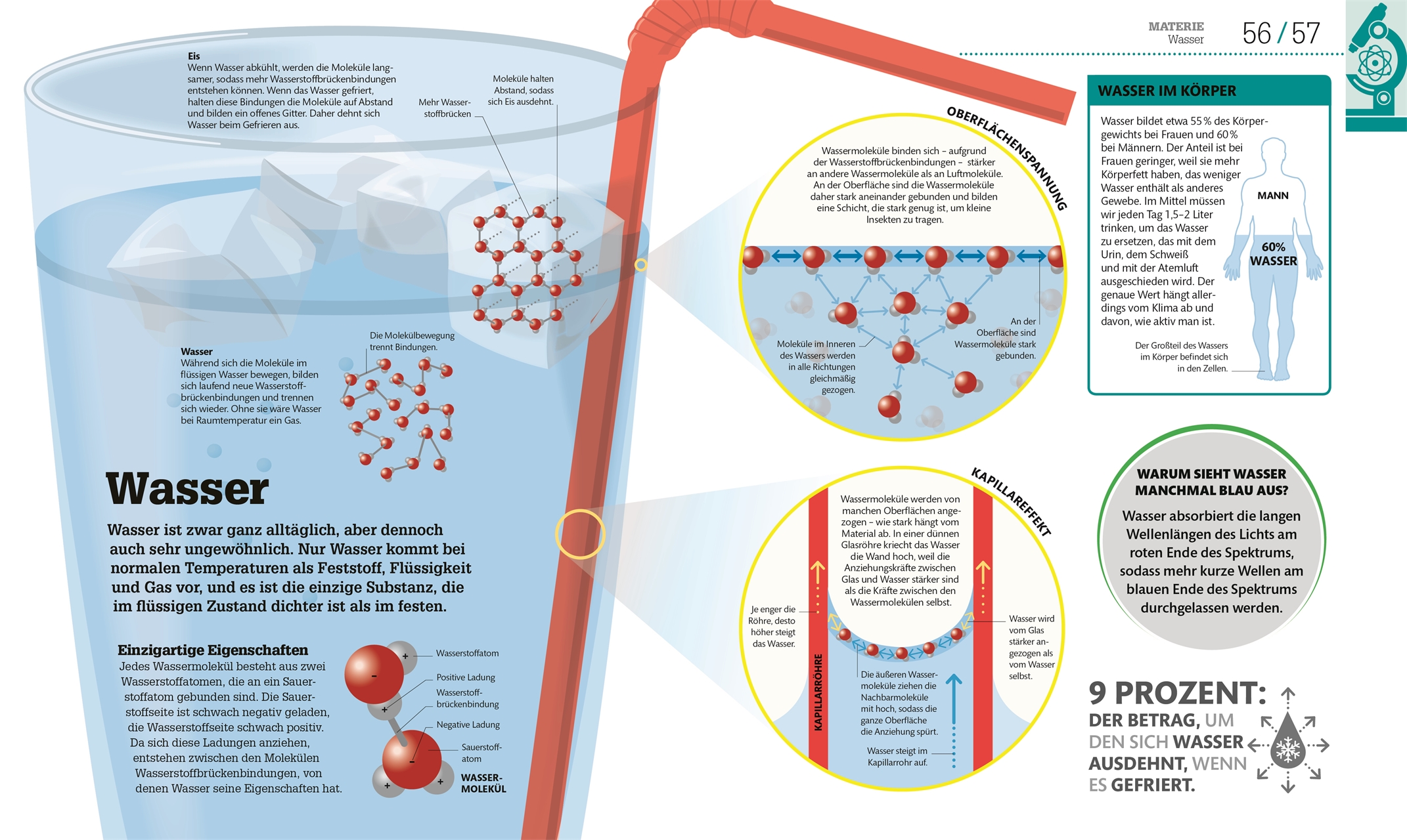#dkinfografik. Naturwissenschaften