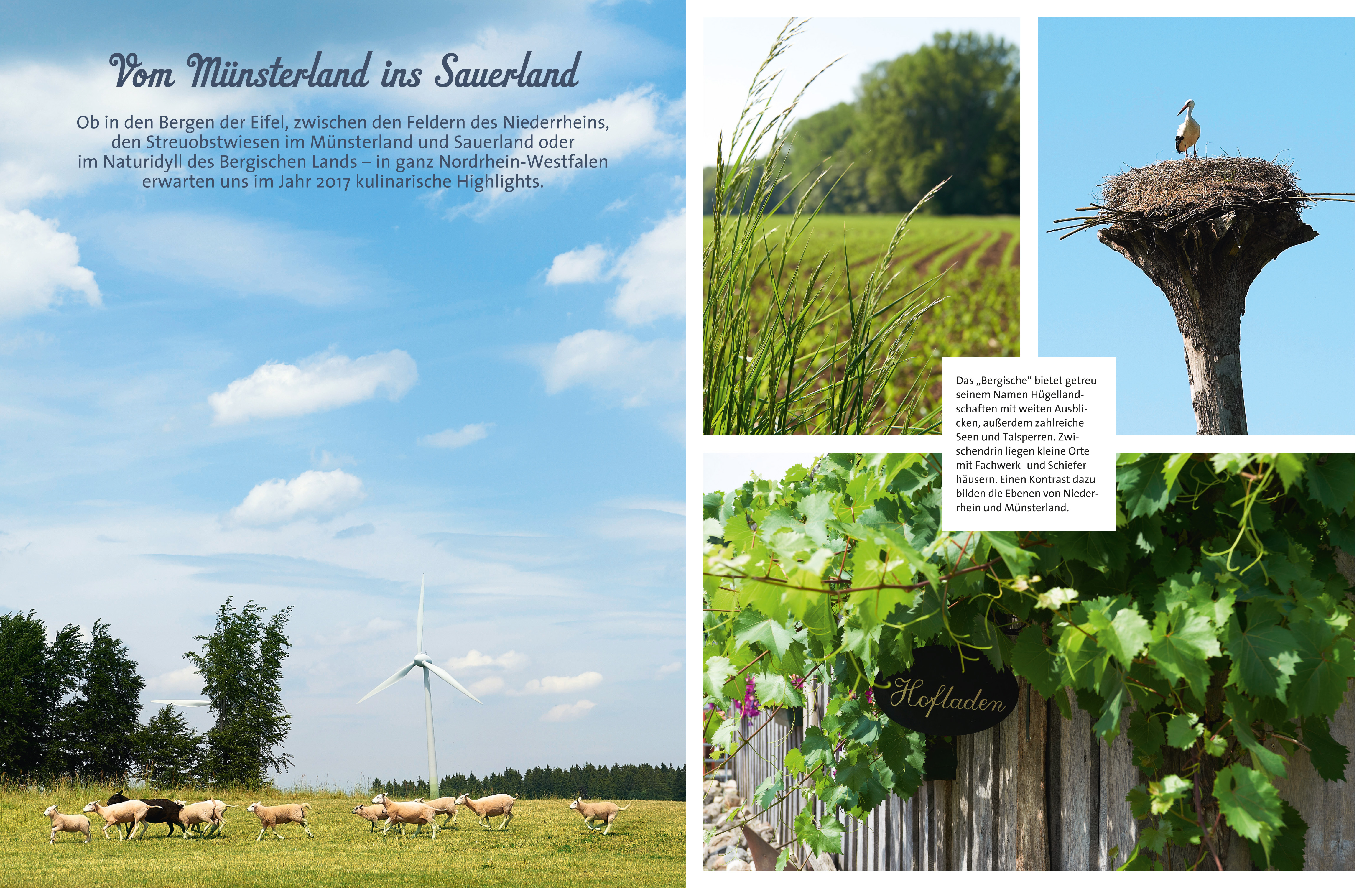Land & lecker 3