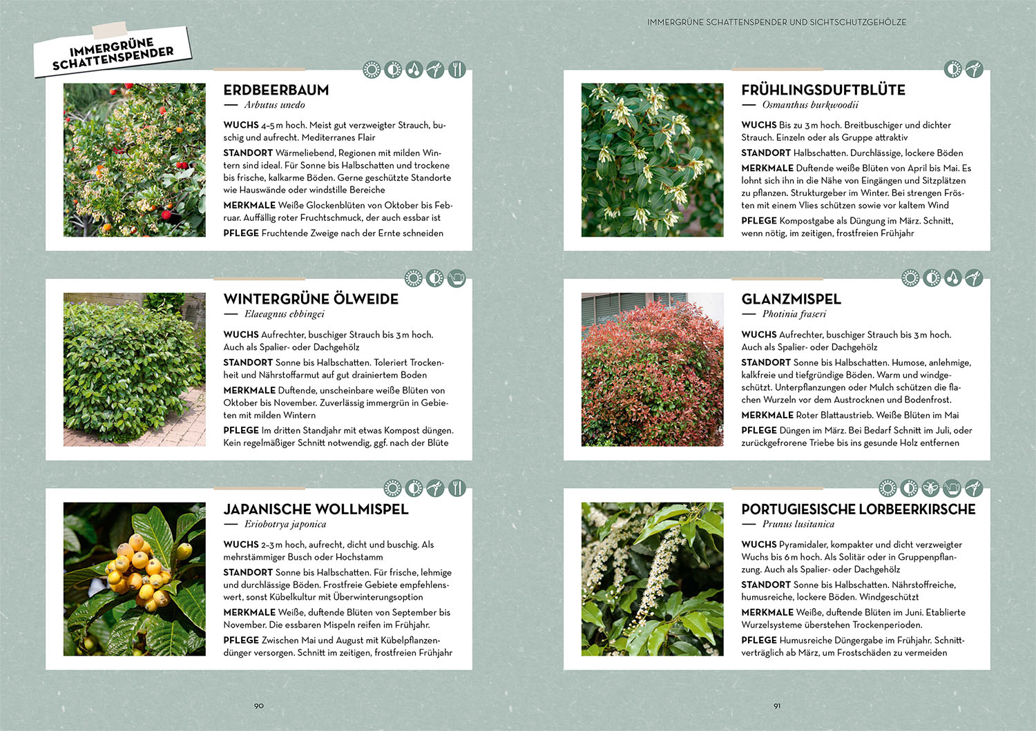 Pflanz dir Schatten!