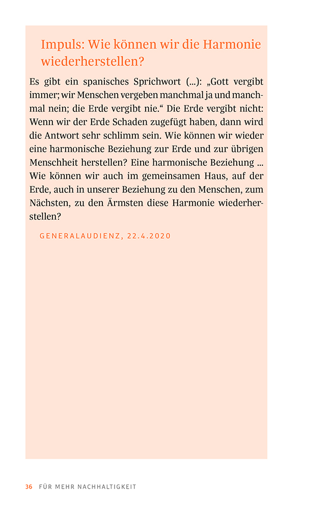 Das Franziskus-Prinzip