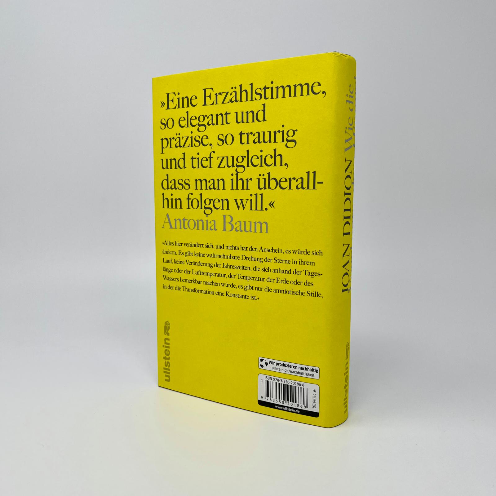 Wie die Vögel unter dem Himmel