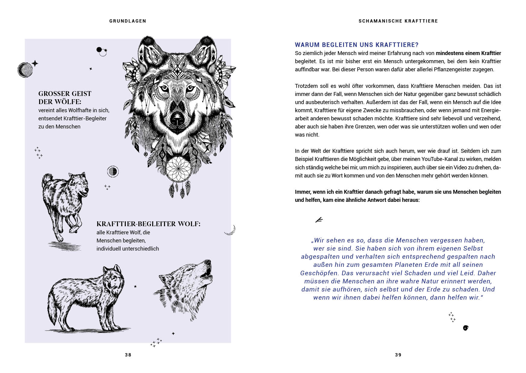 Praxisbuch Schamanische Krafttiere – Entdecke deine Seelenbegleiter