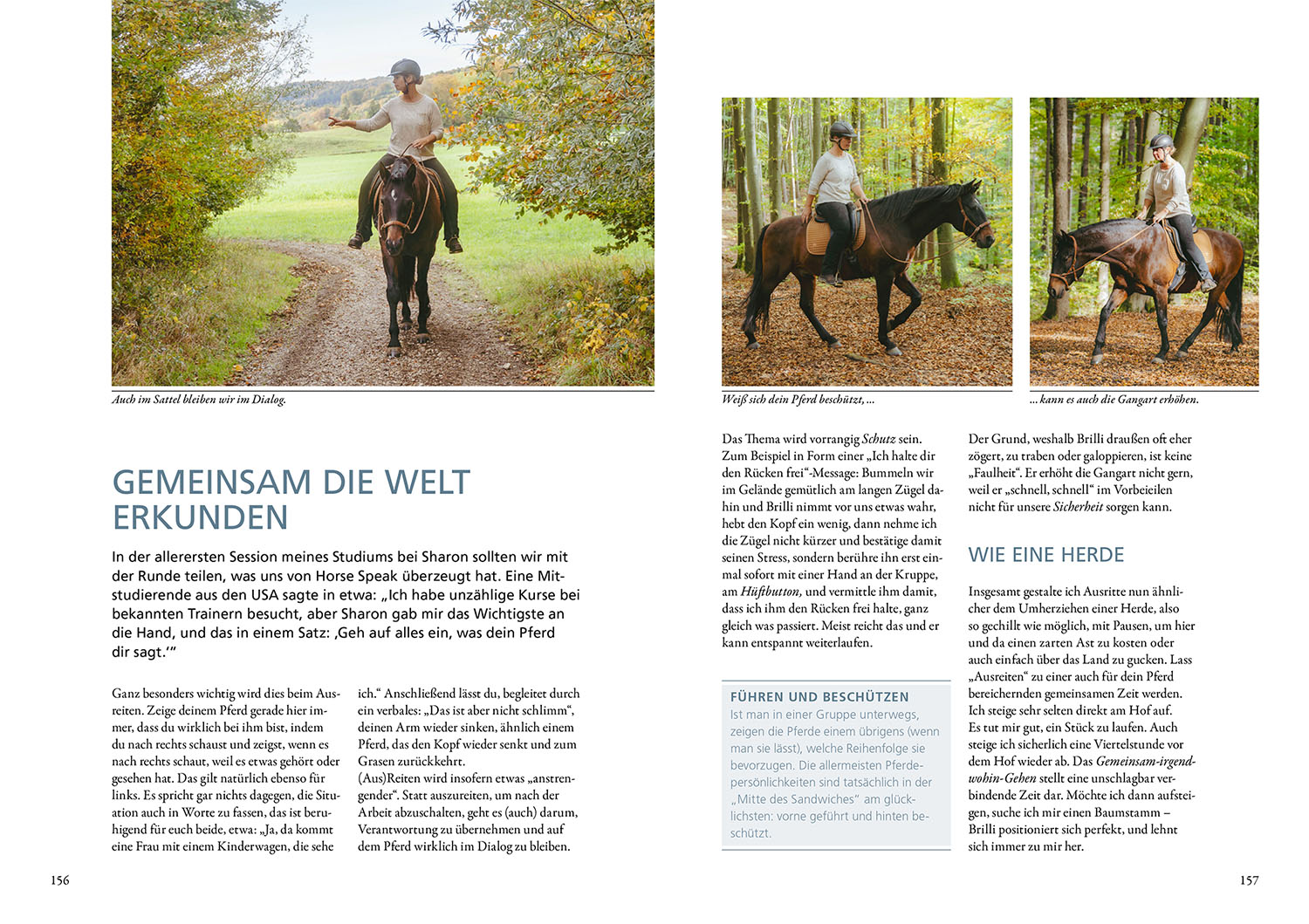 Horse Speak - Die Basis für feines Reiten