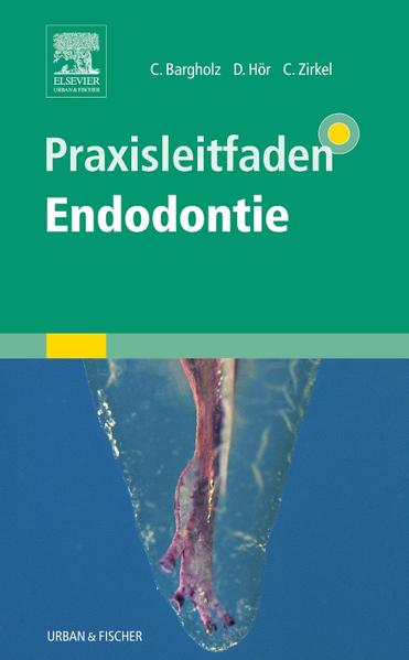 Praxisleitfaden Endodontie