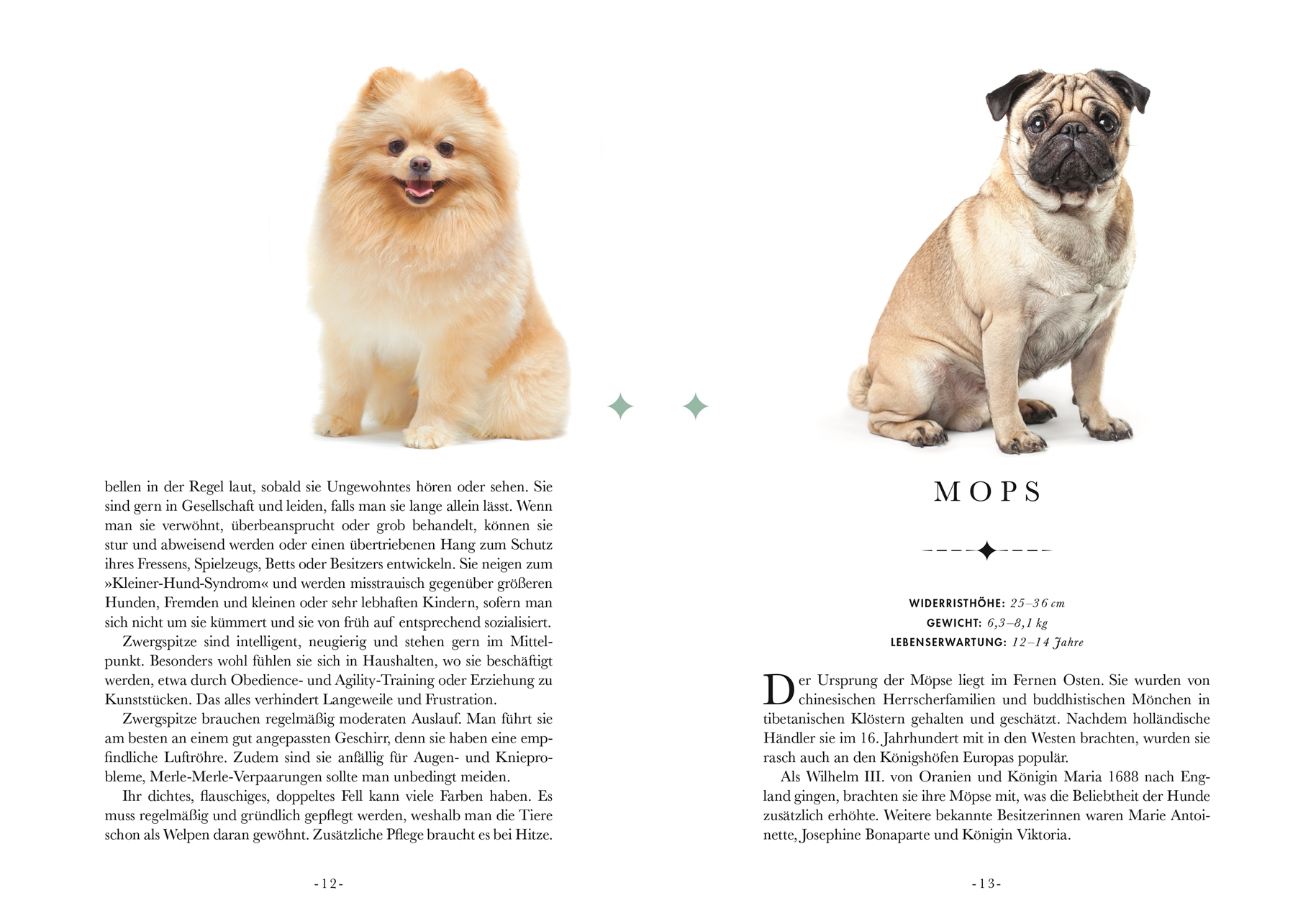 Naturelove. 50 besondere Hunde