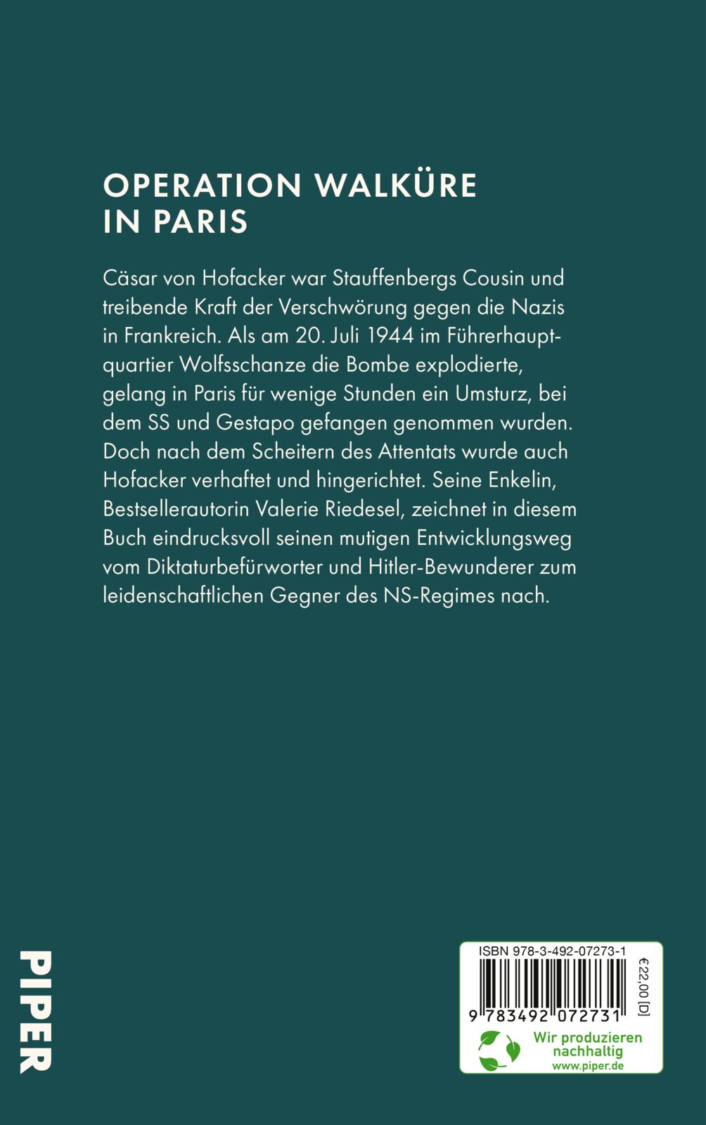 Der Flieger im Widerstand