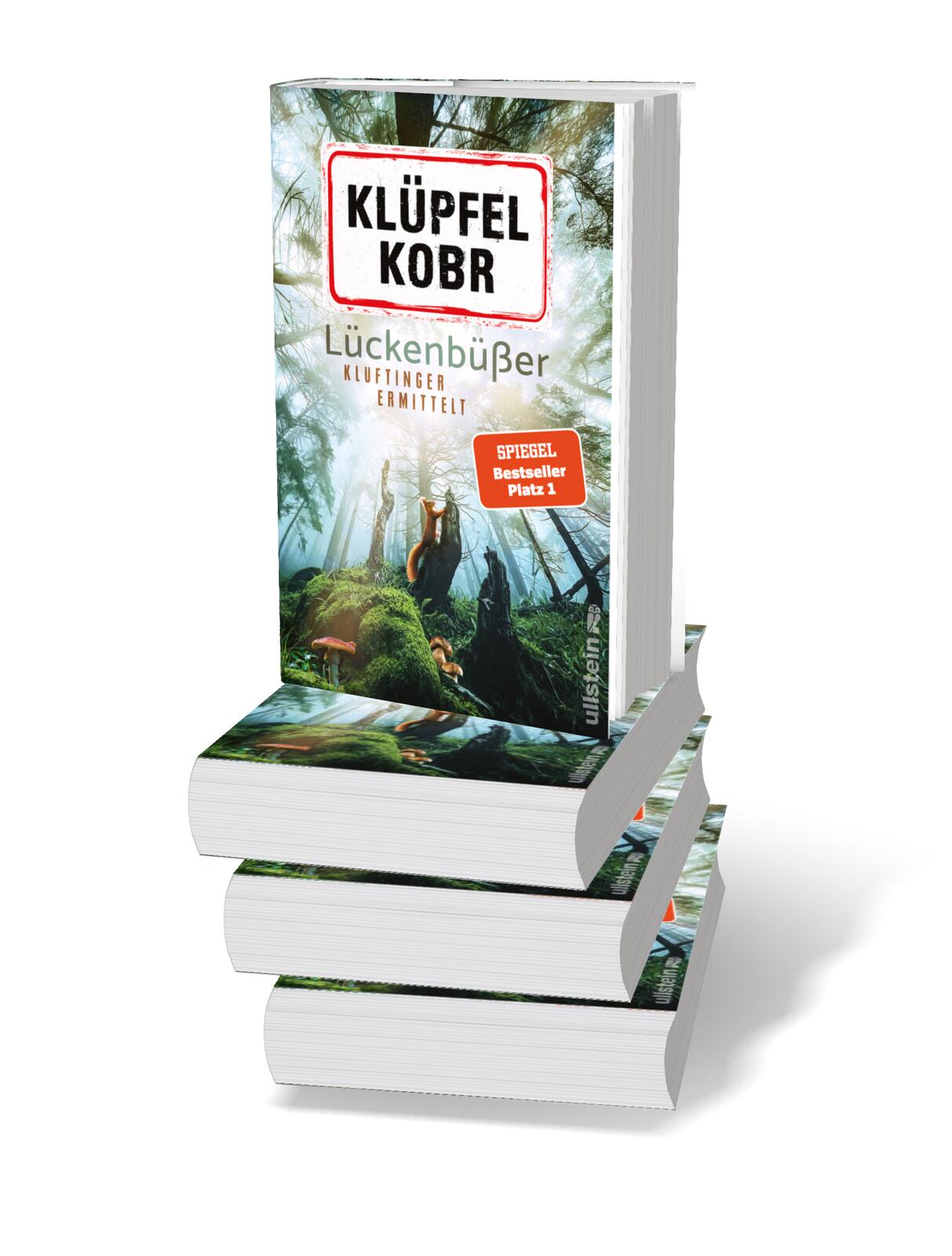 Lückenbüßer (Kluftinger-Krimis 13)