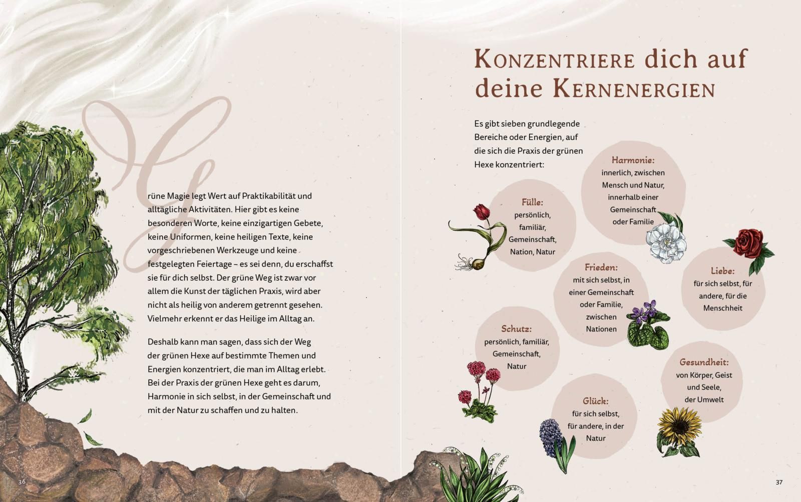 Grüne Magie - eine illustrierte Reise