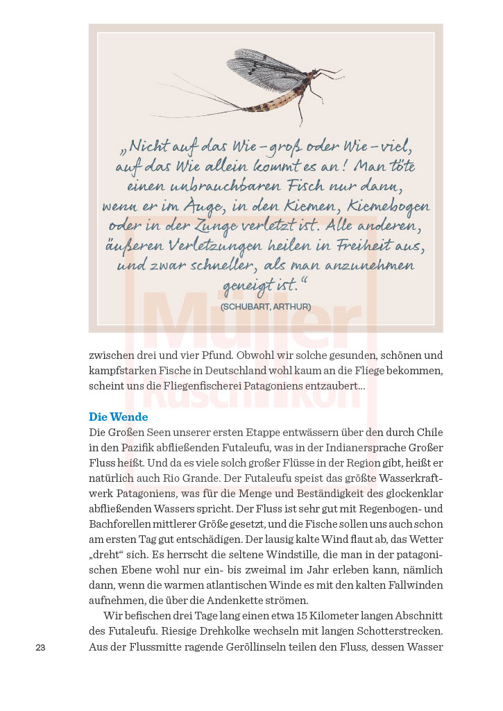 Melodien der Strömung