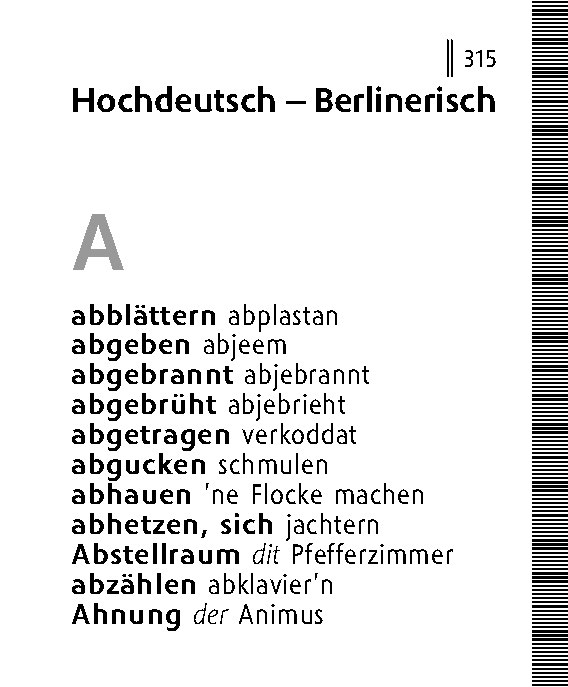 Langenscheidt Lilliput Berlinerisch