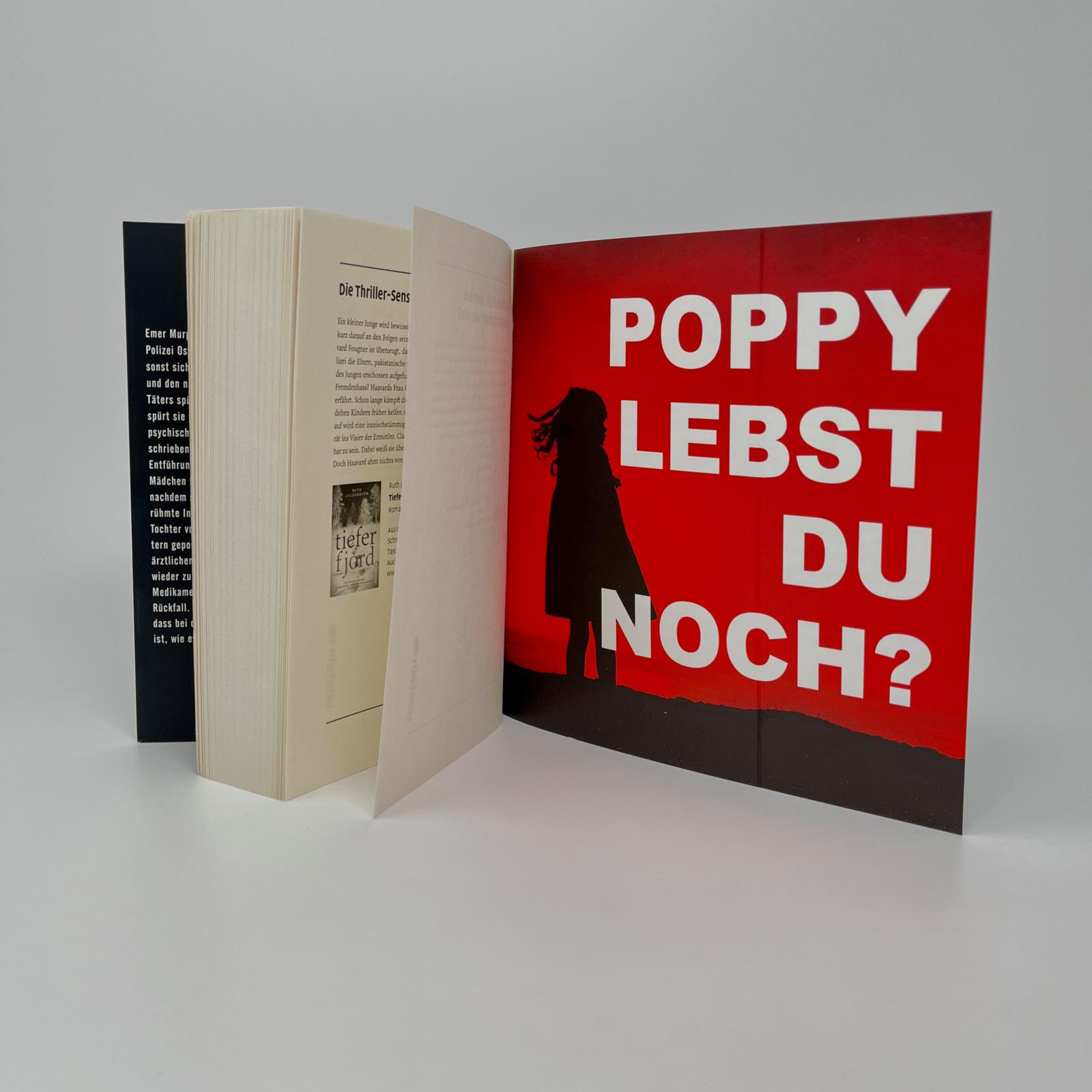 Poppy. Dein Kind verschwindet. Und die ganze Welt sieht zu. (Die Emer-Murphy-Serie 1)
