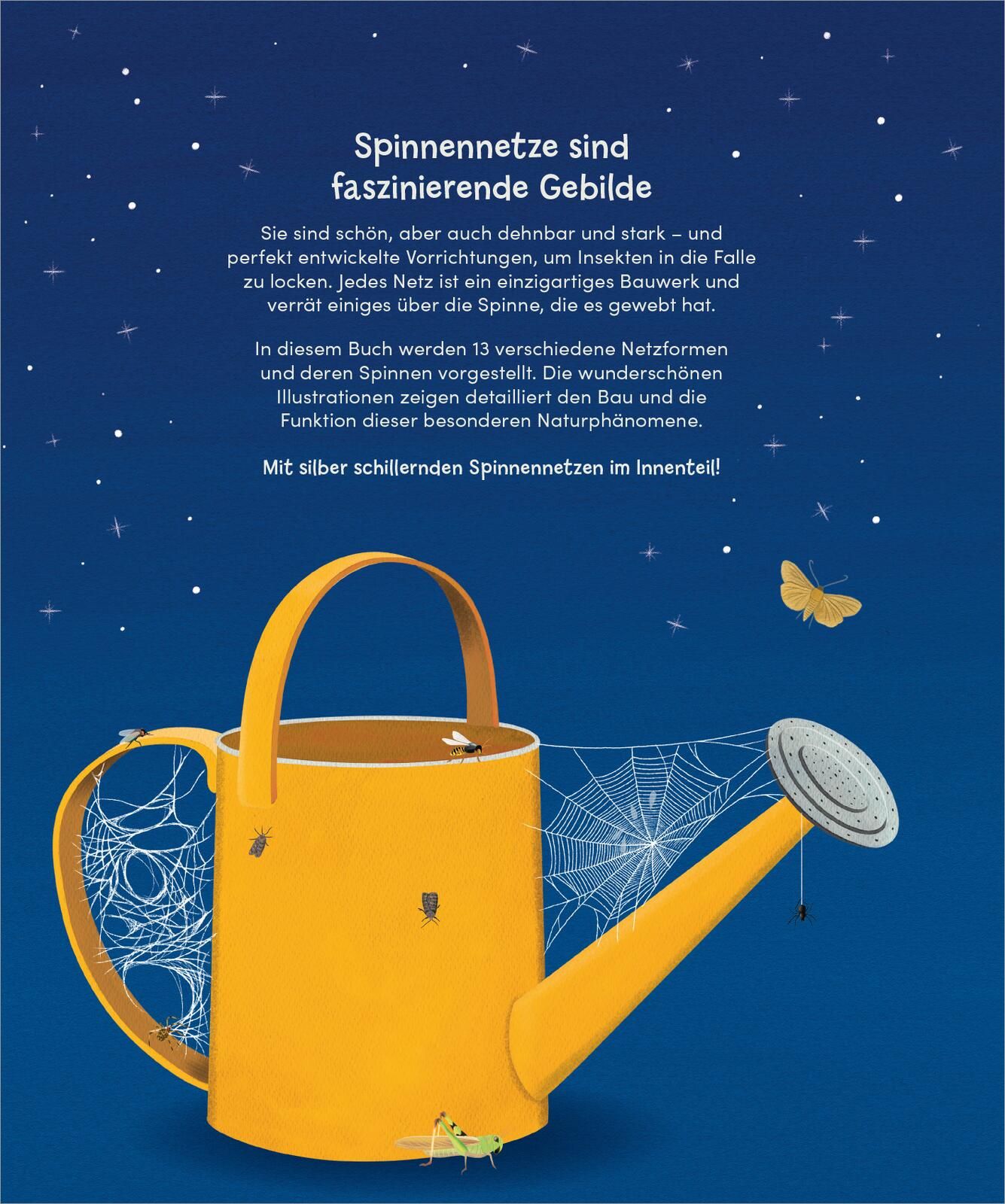 Wunderwelt der Spinnennetze
