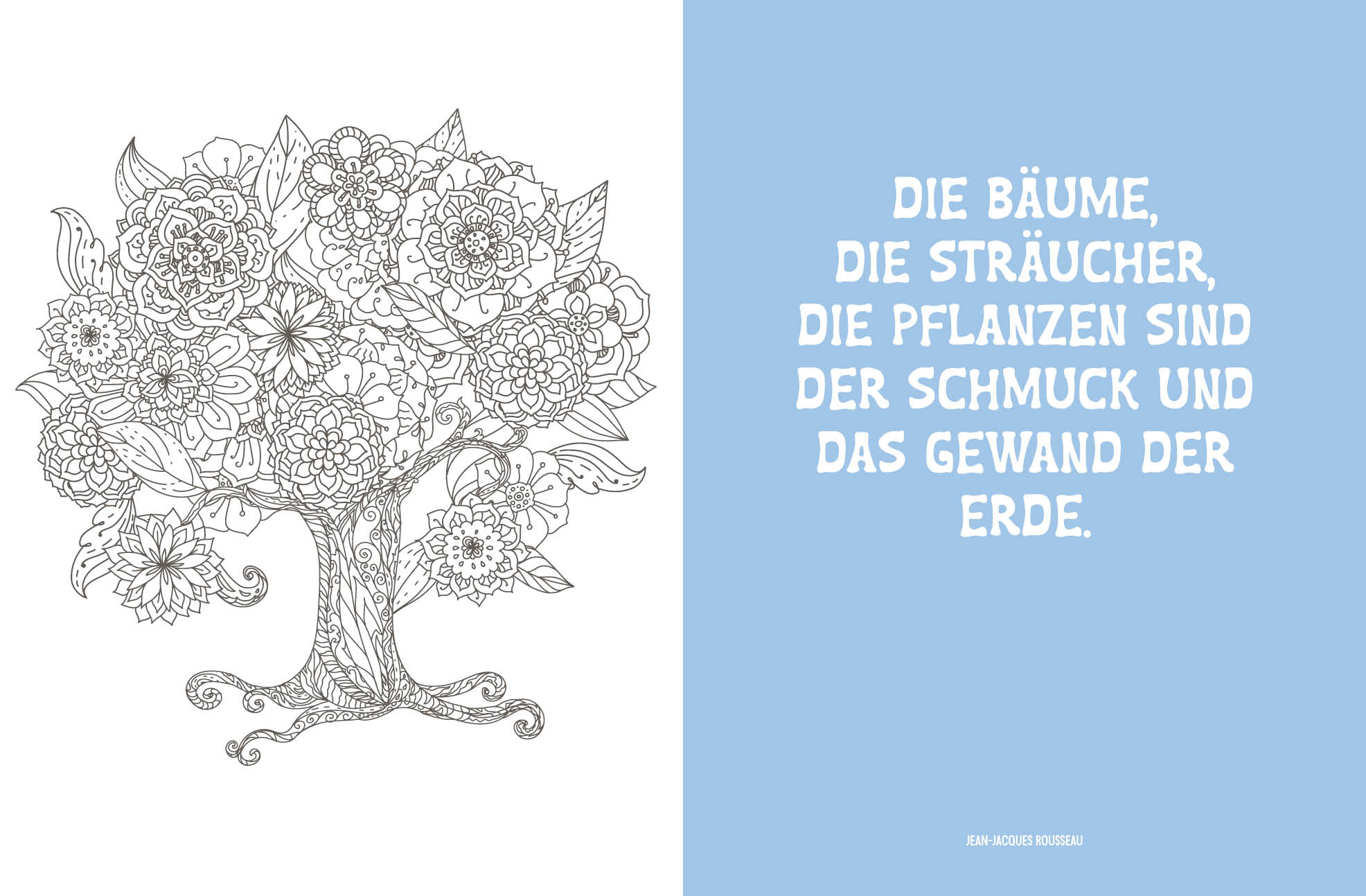 Colorful Mandala – Botanischer Garten