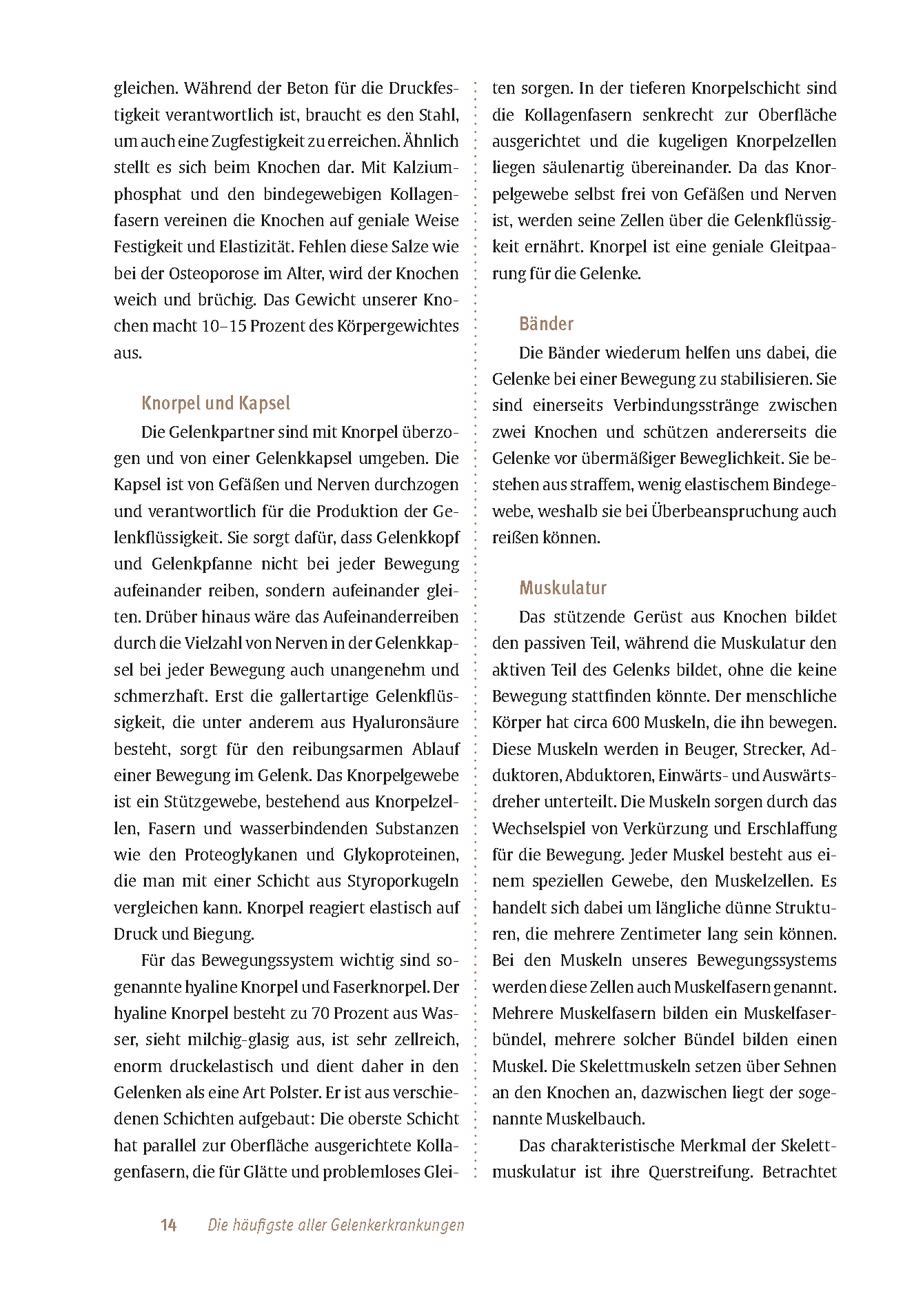 Expertenwissen: Arthrose