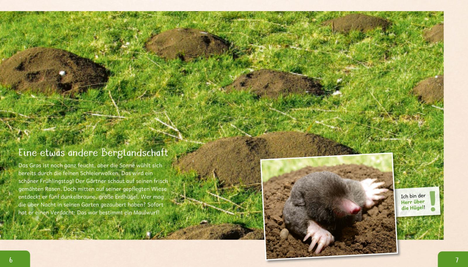 Meine große Tierbibliothek: Der Maulwurf